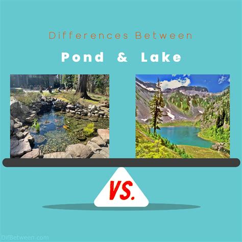 pond vs lake|which phrases describe both lakes and ponds.